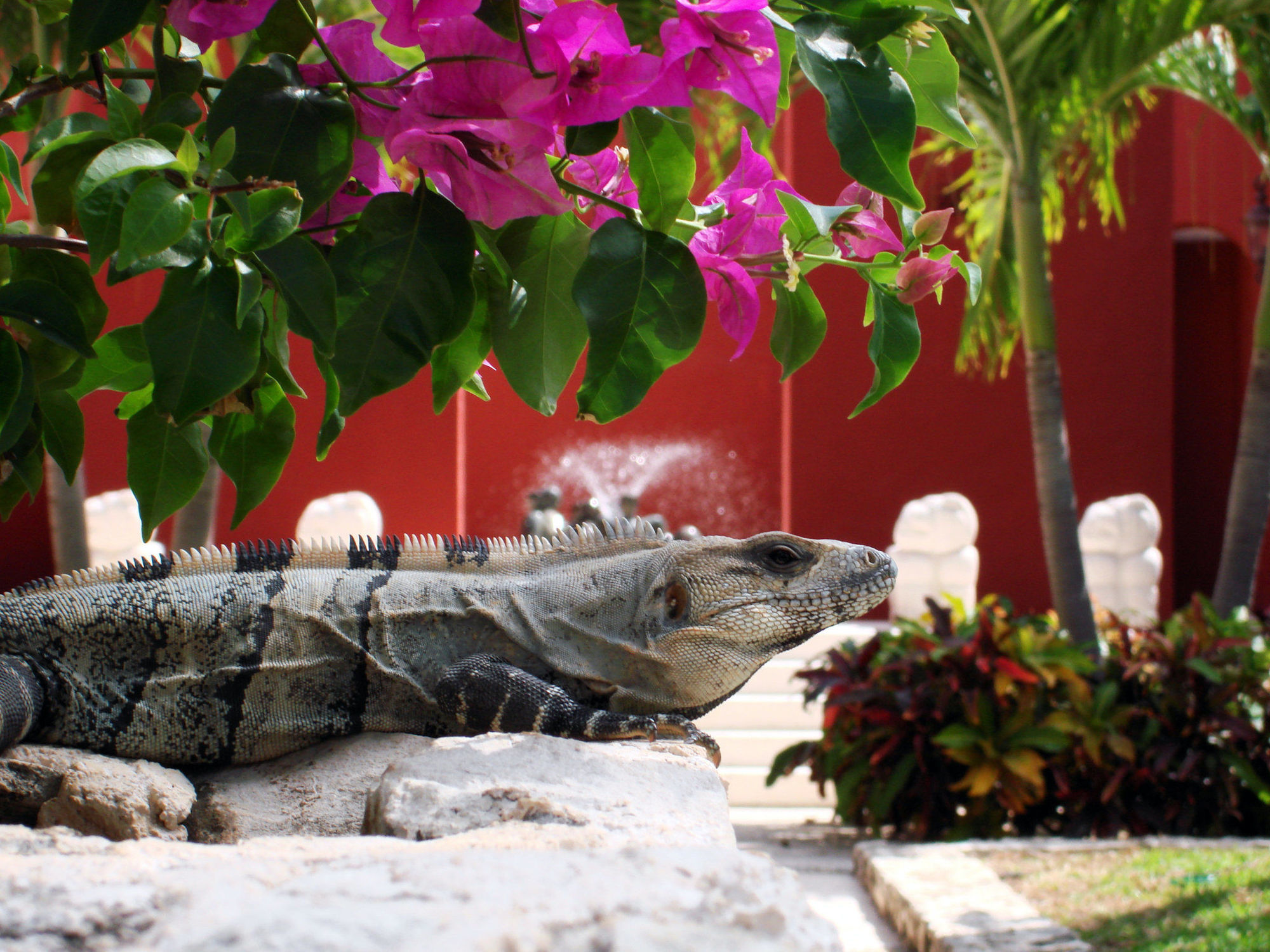 Paraiso De La Bonita Adult All-Inclusive, A Luxury Collection Resort Puerto Morelos Felszereltség fotó